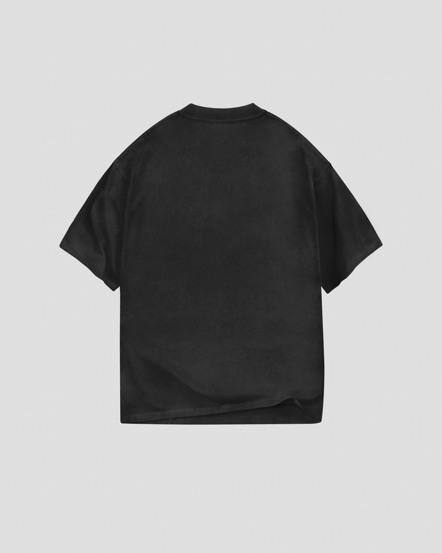FESTIVAL DEAL - College & Miami